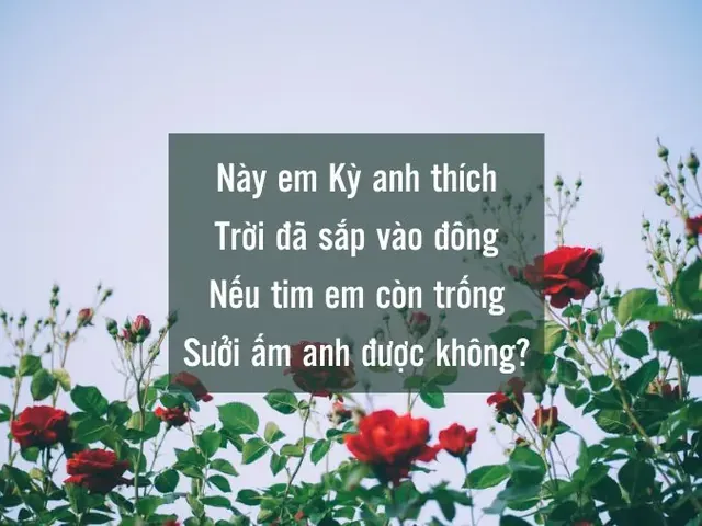 Những Tên Thơ Thả Thính Hoặc Biệt Danh Thú Vị Cho Tên Kỳ Hân Là Gì?