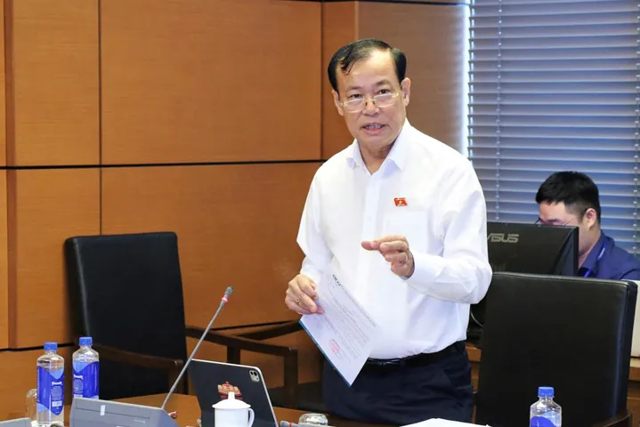 Những Góc Nhìn Mở Rộng Và Tên Đệm Thay Thế Liên Quan Đến Thảo Vy Những Góc Nhìn Mở Rộng Và Tên Đệm Thay Thế Liên Quan Đến Thảo Vy