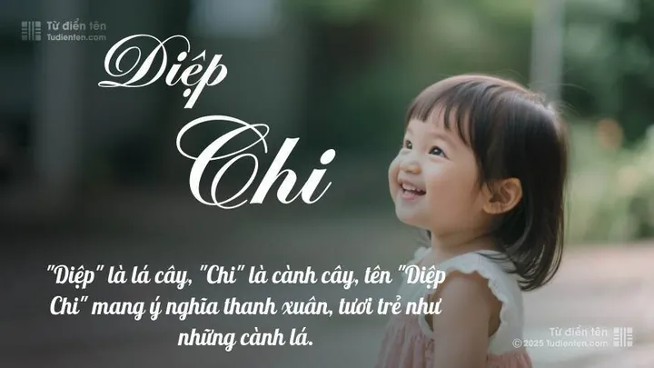 Ý Nghĩa Tên Mộc Diệp Là Gì? Khám Phá Phong Thủy, Tính Cách Và Bộ Tên Đệm Hay Ý Nghĩa Tên Mộc Diệp Là Gì? Khám Phá Phong Thủy, Tính Cách Và Bộ Tên Đệm Hay