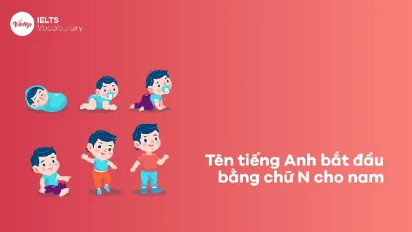 Ý Nghĩa Tên Naveen Là Gì? Khám Phá Nguồn Gốc, Tính Cách Và Độ Phổ Biến