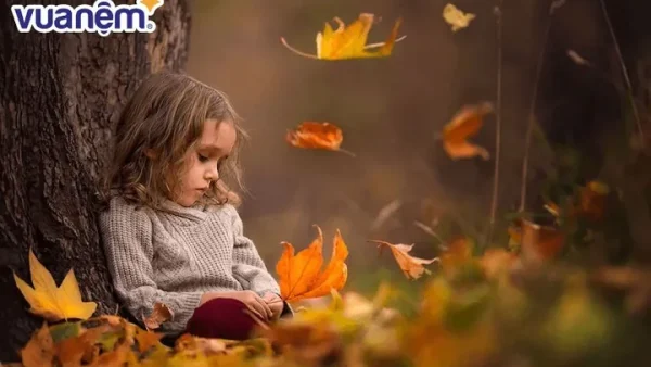 Ý Nghĩa Tên Nguyễn An Chi: Giải Mã Phong Thủy, Tính Cách Và Gợi Ý Tên Đệm Hay