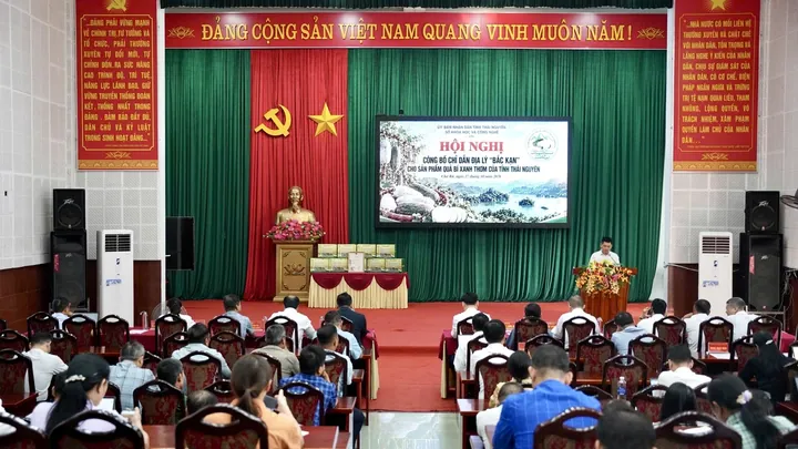 Ngũ Hành Và Các Cách Tính Cách Số (ngũ Cách) Của Tên Bảo Quyên Tốt Hay Xấu? Ngũ Hành Và Các Cách Tính Cách Số (ngũ Cách) Của Tên Bảo Quyên Tốt Hay Xấu?