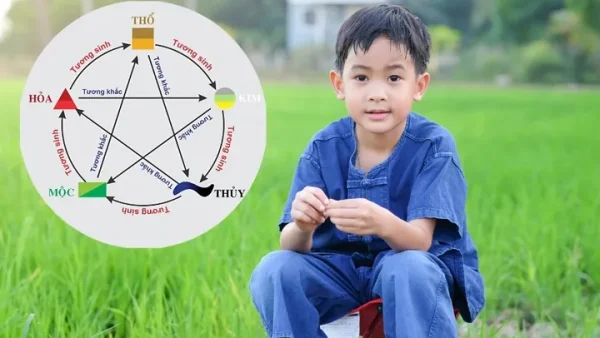 Giải Mã Ý Nghĩa Tên Nguyễn Cát An Nhiên Và Gợi Ý Đặt Tên Con Đẹp