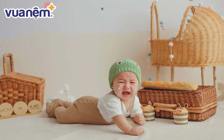 Chữ Anh Biểu Trưng Cho Trí Tuệ Tinh Anh Và Óc Sáng Tạo Vượt Trội Chữ Anh Biểu Trưng Cho Trí Tuệ Tinh Anh Và Óc Sáng Tạo Vượt Trội
