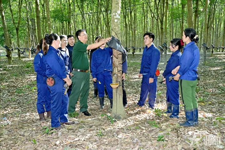Gợi Ý Các Tên Mang Ý Nghĩa Thông Minh, Tài Đức Cho Bé Trai Họ Nguyễn