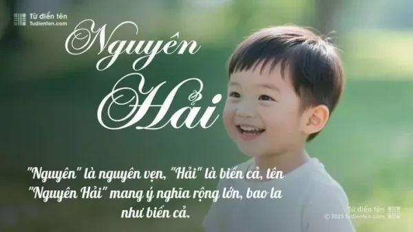 Ý Nghĩa Tên Nguyễn Hải An Là Gì? Giải Mã Chi Tiết Phong Thủy Và Vận Mệnh