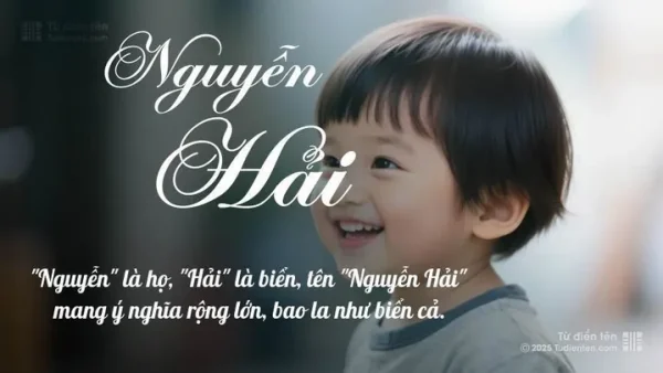 Ý Nghĩa Tên Nguyễn Hải An Là Gì? Giải Mã Chi Tiết Phong Thủy Và Vận Mệnh