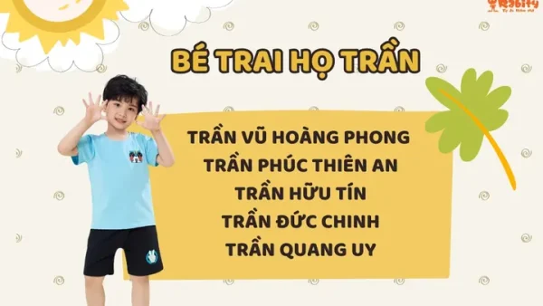 Ý Nghĩa Tên Nguyễn Hoàng Bảo Nam Là Gì? Gợi Ý Phân Tích Phong Thủy Và Vận Số