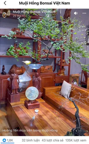 Ý Nghĩa Tên Nguyễn Hoàng Gia Là Gì? Phân Tích Ý Nghĩa, Phong Thủy Và Thần Số Học Chi Tiết Ý Nghĩa Tên Nguyễn Hoàng Gia Là Gì? Phân Tích Ý Nghĩa, Phong Thủy Và Thần Số Học Chi Tiết