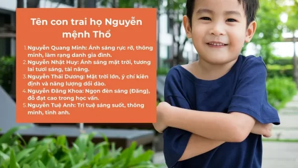 Ý Nghĩa Tên Nguyễn Hồng Sơn Là Gì? Phân Tích Chi Tiết Phong Thủy Và Vận Mệnh