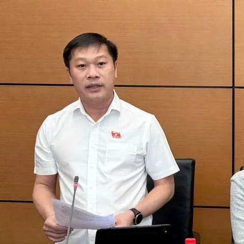 Ý Nghĩa Tên Nguyễn Khánh Vũ Là Gì? Khám Phá Phong Thủy Và Vận Mệnh Ý Nghĩa Tên Nguyễn Khánh Vũ Là Gì? Khám Phá Phong Thủy Và Vận Mệnh