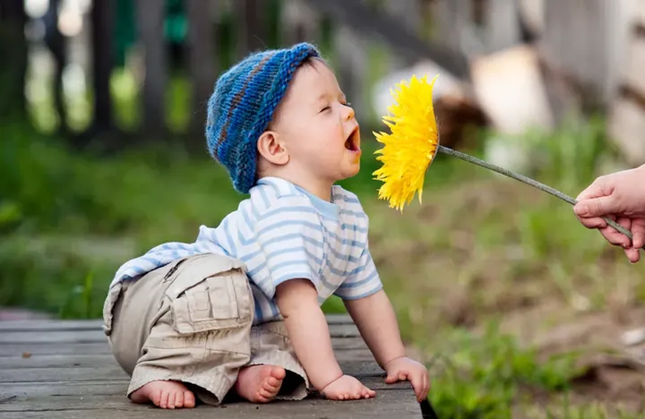 Khi Đặt Tên Con Trai Có Chữ Kiến Cần Lưu Ý Những Nguyên Tắc Gì Về Âm Luật? Khi Đặt Tên Con Trai Có Chữ Kiến Cần Lưu Ý Những Nguyên Tắc Gì Về Âm Luật?