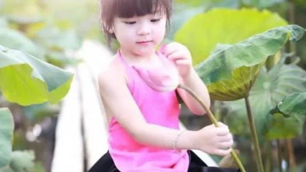 Ý Nghĩa Tên Nguyễn Lê Anh Thư Là Gì? Khám Phá Vận Mệnh Và Tính Cách