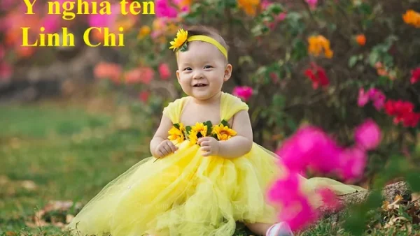 Ý Nghĩa Tên Nguyễn Linh Chi Là Gì? Giải Mã Chi Tiết Vận Mệnh, Phong Thủy Và Tính Cách