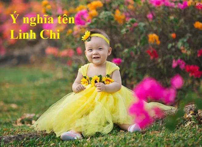 Sự Phối Hợp Tam Tài Trong Tên Nguyễn Linh Chi Có Mang Lại Cát Lợi Không? Sự Phối Hợp Tam Tài Trong Tên Nguyễn Linh Chi Có Mang Lại Cát Lợi Không?