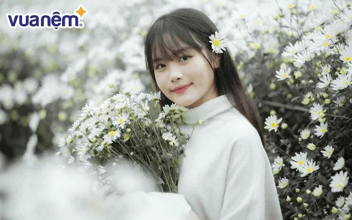 Tên Nguyễn Mai Anh Có Ý Nghĩa Gì Theo Từ Điển Hán Việt? Tên Nguyễn Mai Anh Có Ý Nghĩa Gì Theo Từ Điển Hán Việt?