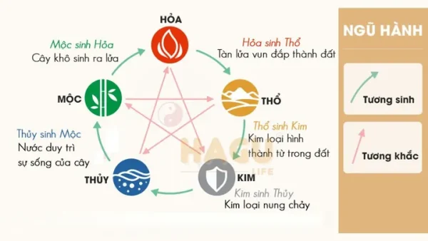 Ý Nghĩa Tên Nguyễn Minh Hồng Cho Bé Trai 2015 Và Cách Đặt Tên Hợp Phong Thủy