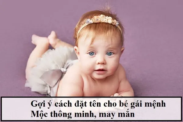 Hình Ảnh Loài Hoa Mộc Lan Thanh Cao Và Quý Phái