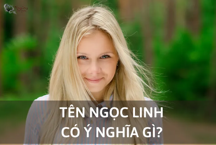 Tên Nguyễn Ngọc Linh Có Ý Nghĩa Gì Theo Từ Điển Hán - Việt?