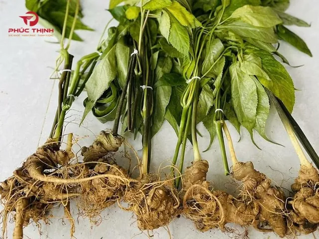 Người Mang Tên Nguyễn Ngọc Linh Thường Có Tính Cách Và Vận Mệnh Như Thế Nào?