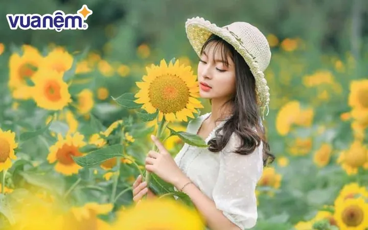 Định Hướng Sự Nghiệp Và Đường Tình Duyên Ra Sao?
