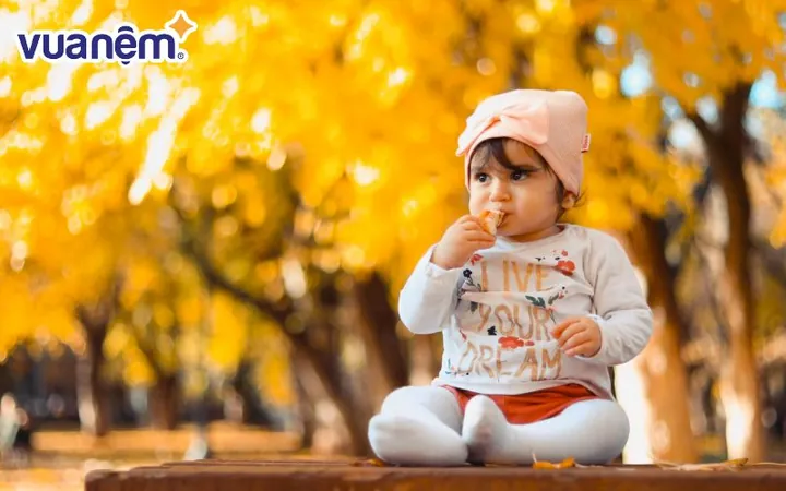 Cảm Nhận Và Ấn Tượng Chung Về Cái Tên Nguyễn Phương Hà Cảm Nhận Và Ấn Tượng Chung Về Cái Tên Nguyễn Phương Hà