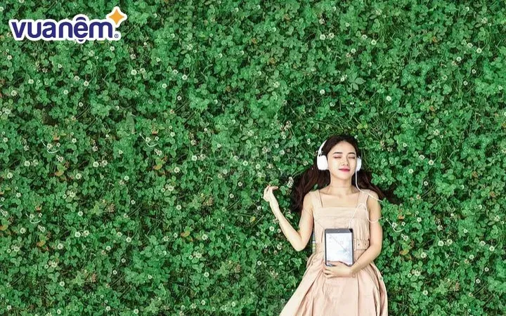 Ý Nghĩa Tên Quỳnh Như Là Gì Qua Từng Từ Cấu Thành