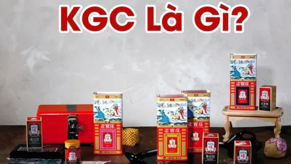 Ý Nghĩa Tên Nguyễn Văn Sâm Là Gì? Phân Tích Chi Tiết Phong Thủy Và Thần Số Học