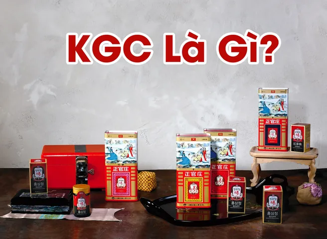 Khám Phá Con Số Chủ Đạo Và Bài Học Đường Đời Khám Phá Con Số Chủ Đạo Và Bài Học Đường Đời