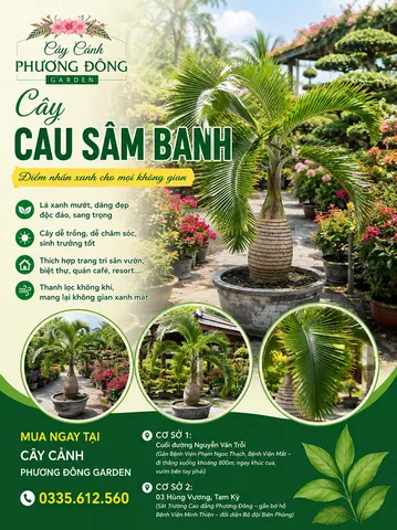 Tên Nguyễn Văn Sâm Mang Ý Nghĩa Gì Theo Hán Việt? Tên Nguyễn Văn Sâm Mang Ý Nghĩa Gì Theo Hán Việt?